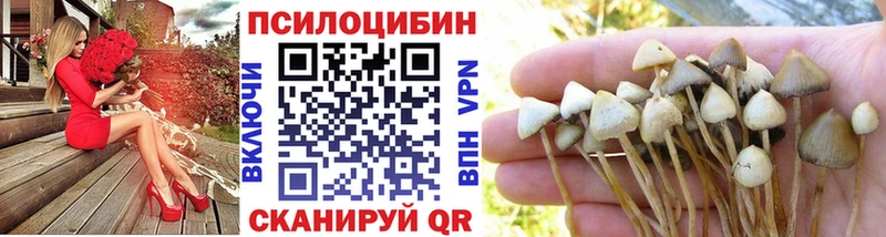 где продают kraken ONION Галлюциногенные грибы Magic Shrooms Электрогорск