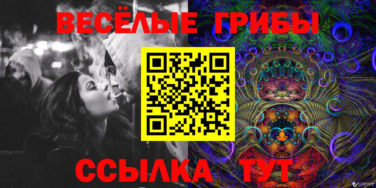 Галлюциногенные грибы MAGIC MUSHROOMS  Электрогорск  Галлюциногенные грибы Psilocybe 