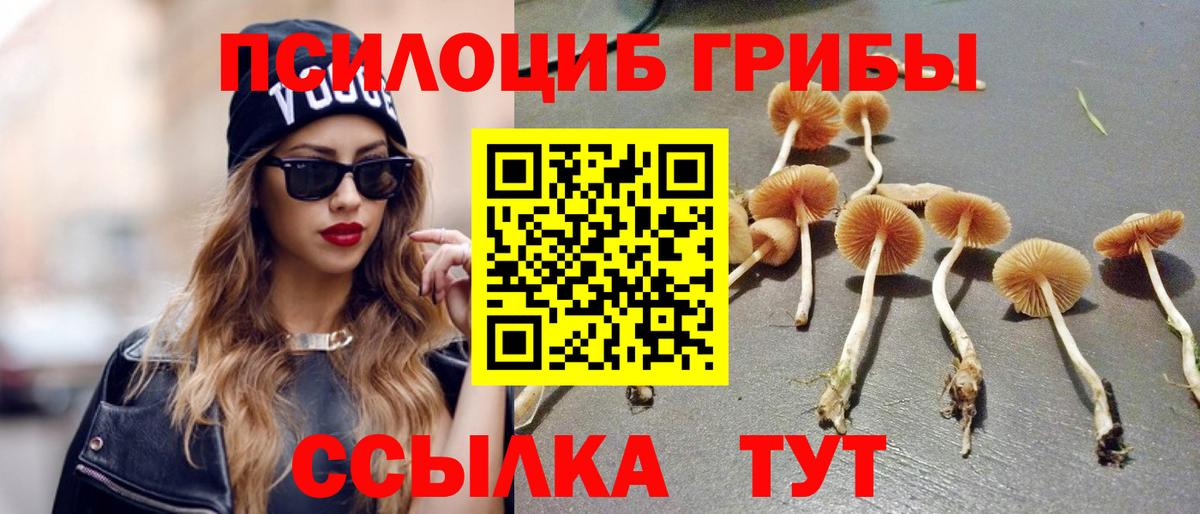 Электрогорск  Псилоцибиновые грибы прущие грибы  Галлюциногенные грибы Magic Shrooms  Вход с VPN 