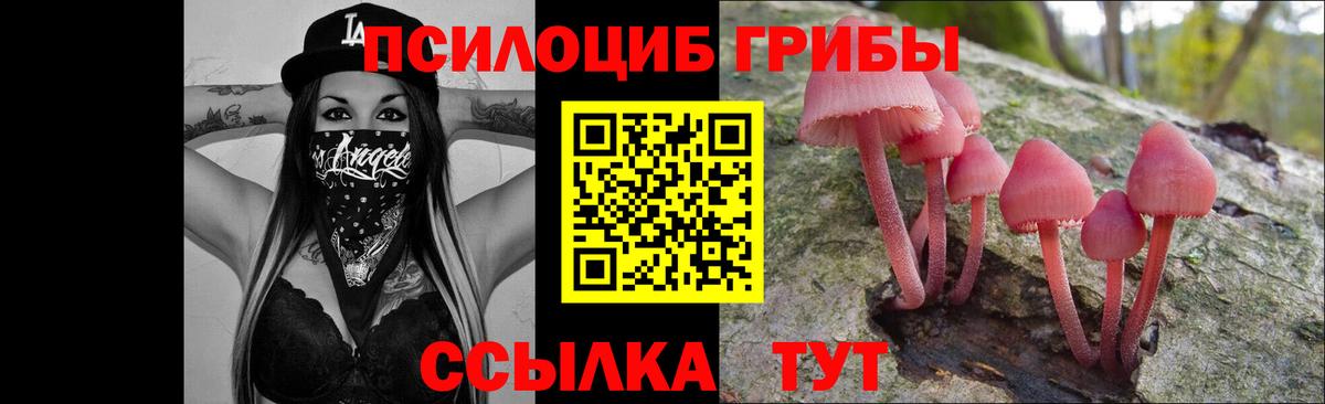 Галлюциногенные грибы GOLDEN TEACHER Электрогорск