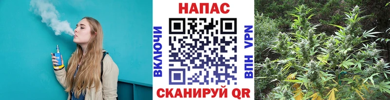 Марихуана семена  дарнет шоп  Электрогорск 